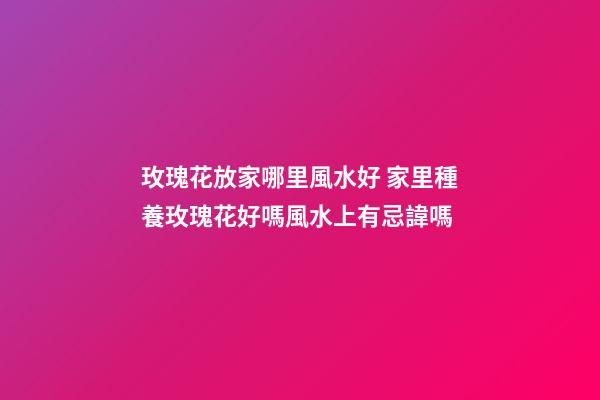 玫瑰花放家哪里風水好 家里種養玫瑰花好嗎風水上有忌諱嗎